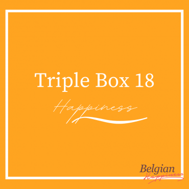 Triple Beer Box 18