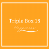 Triple Beer Box 18