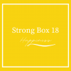 Strong Beer Box 18