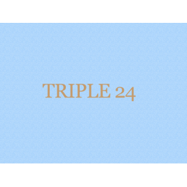 Triple Beer Box 24