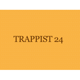 Assortiment 27 Bières Trappistes